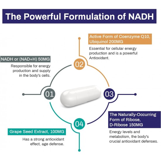 Aesticum NADH 50mg + CoQ10 200mg + D-Ribosa 150mg suplemento, 60 Cápsulas Vegetales