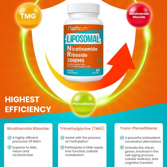 Aesticum Suplemento Liposomal Nicotinamide Riboside 2000 MG 60 Softgels