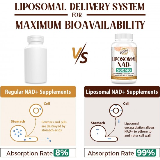 Caenciennes Liposomal NAD+ 500 MG Supplement, 60 Softgels