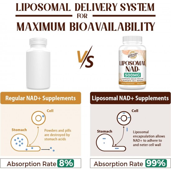 Caenciennes Liposomal NAD+ 500 MG Supplément, 60 Softgels