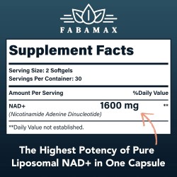 Fabamax Suplemento Liposomal NAD+ 1600 mg, 60 cápsulas blandas Fabamax Suplemento Liposomal NAD+ 1600 mg, 60 cápsulas blandas