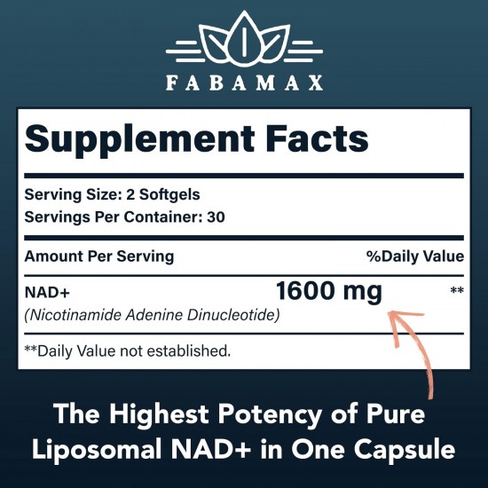 Fabamax Integratore di NAD+ liposomiale 1600 mg, 60 Capsule Morbide