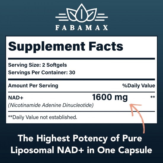 Fabamax Liposomale NAD+ Ergänzung 1600 mg, 60 Weichkapseln