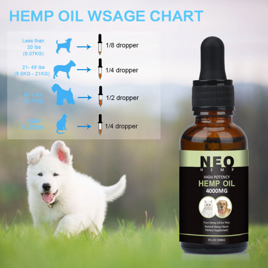 Huile de CBD pour chat et chien : soin à l'huile de chanvre pour chat et  chien