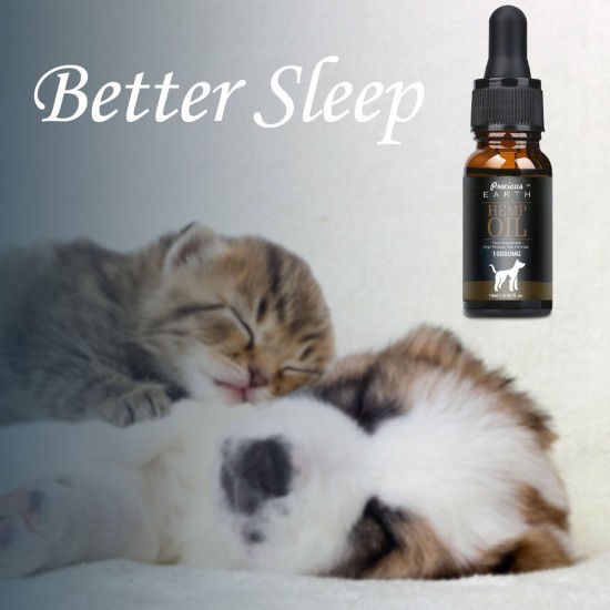 Olio Precious Earth HEMP per cani e gatti - 10000mg -100% Olio di canapa biologico per animali domestici Olio Precious Earth HEMP per cani e gatti - 10000mg -100% Olio di canapa biologico per animali domestici