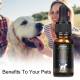 Olio Precious Earth HEMP per cani e gatti -  10000mg -100% Olio di canapa biologico per animali domestici