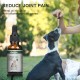 Vitablossom Hemp oil for Dogs,Organic Hemp oil for Pets, Hemp oil for Pats - 500mg Vitablossom Hemp oil for Dogs,Organic Hemp oil for Pets, Hemp oil for Pats - 500mg