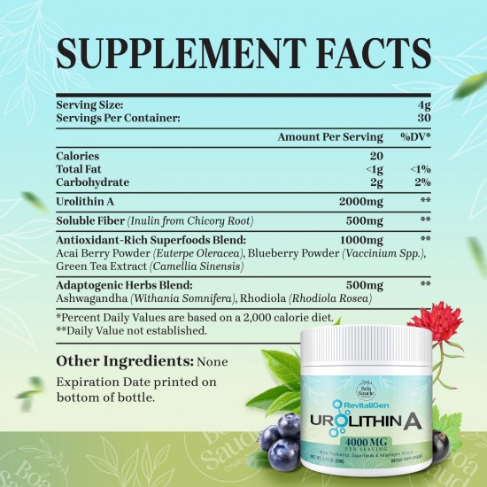 BoaSaude Urolithin A 2000mg Powder – High Absorption Postbiotic with Adaptogen Blend & Prebiotics – Supports Cellular Renewal, Energy & Gut Health – 4.23 oz (30 Servings) BoaSaude Urolithin A 2000mg Powder – High Absorption Postbiotic with Adaptogen Blend & Prebiotics – Supports Cellular Renewal, Energy & Gut Health – 4.23 oz (30 Servings)