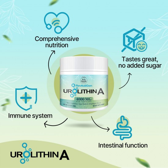 BoaSaude Urolithin A 2000mg Powder – High Absorption Postbiotic with Adaptogen Blend & Prebiotics – Supports Cellular Renewal, Energy & Gut Health – 4.23 oz (30 Servings) BoaSaude Urolithin A 2000mg Powder – High Absorption Postbiotic with Adaptogen Blend & Prebiotics – Supports Cellular Renewal, Energy & Gut Health – 4.23 oz (30 Servings)