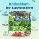 BoaSaude Urolithin A 2000mg Powder – High Absorption Postbiotic with Adaptogen Blend & Prebiotics – Supports Cellular Renewal, Energy & Gut Health – 4.23 oz (30 Servings) BoaSaude Urolithin A 2000mg Powder – High Absorption Postbiotic with Adaptogen Blend & Prebiotics – Supports Cellular Renewal, Energy & Gut Health – 4.23 oz (30 Servings)
