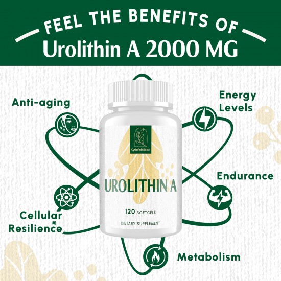 CystoRebalance Urolithin A 2000mg | Mitochondrial & Healthy Aging Support – 120 Softgels CystoRebalance Urolithin A 2000mg | Mitochondrial & Healthy Aging Support – 120 Softgels