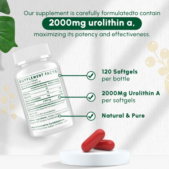 CystoRebalance Urolithin A 2000mg | Mitochondrial & Healthy Aging Support – 120 Softgels CystoRebalance Urolithin A 2000mg | Mitochondrial & Healthy Aging Support – 120 Softgels