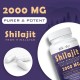 Elikadur 2000 MG Shilajit Ergänzung mit 85+ Spurenelementen & 60% Fulvosäure 60 Kapseln