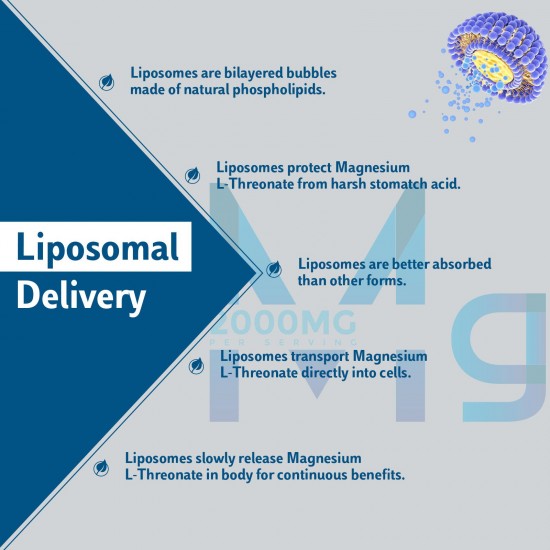 Energecko Liposomal Magnesium L-Threonate 60 Softgels 2000mg - Magnesium Supplement with Vitamin D3 & K2