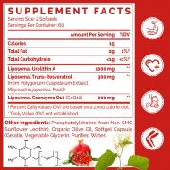 Gesundgeist Liposomal Urolithin A 1000mg – Komplex mit CoQ10 & Trans-Resveratrol für Zellenergie & Langlebigkeit – 120 Vegane Softgel-Kapseln