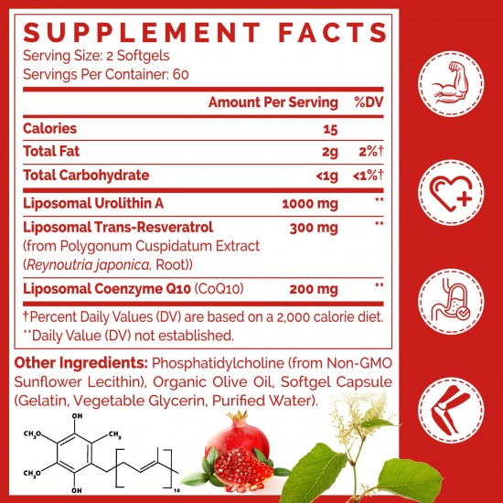 Gesundgeist Liposomal Urolithin A 1000mg – Komplex mit CoQ10 & Trans-Resveratrol für Zellenergie & Langlebigkeit – 120 Vegane Softgel-Kapseln