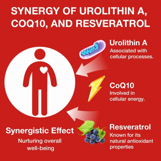 Gesundgeist Liposomal Urolithin A 1000mg – Komplex mit CoQ10 & Trans-Resveratrol für Zellenergie & Langlebigkeit – 120 Vegane Softgel-Kapseln