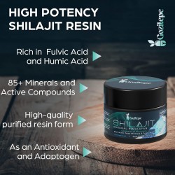 Gozitepe Resina Natural Purificada de Shilajit del Himalaya 30g Gozitepe Resina Natural Purificada de Shilajit del Himalaya 30g