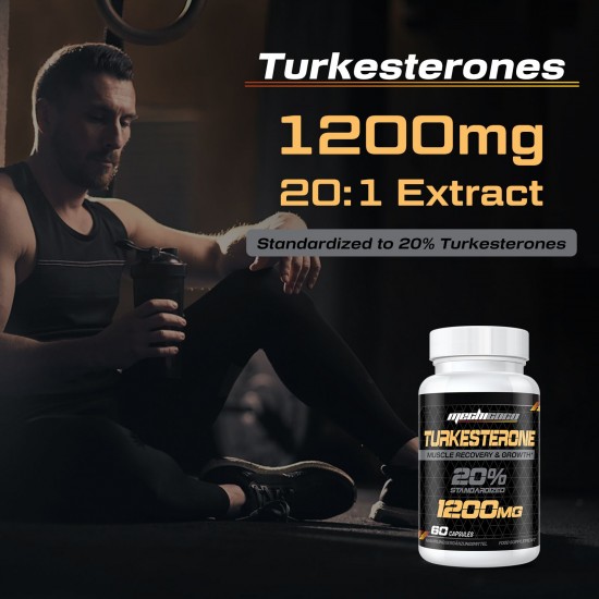 Mechicoco Turkesterone Capsules Haute Dose 1200 mg Extrait Ajuga Turkestanica