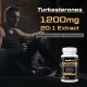 Mechicoco Turkesterone Capsule ad alto dosaggio 1200 mg di estratto di Ajuga Turkestanica