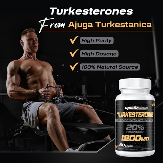 Mechicoco Turkesterone Capsules Haute Dose 1200 mg Extrait Ajuga Turkestanica