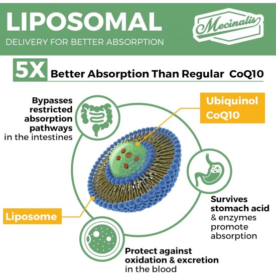 Mecinalis CoQ10 Ubiquinol liposomal 1000mg 60 gélules