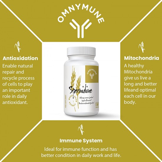 Omnymune Spermidine Extrait de Germe de Blé Capsules 1300 mg Formule avancée avec Zinc