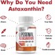 Osasuna Supplément d'astaxanthine liposomale 24mg, 60 capsules molles