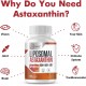 Osasuna Liposomale Astaxanthin Ergänzung 24mg, 60 Weichkapseln