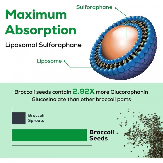 Osasuna Suplemento Liposomal de Sulforafano 450MG de Extracto de Semilla de Brócoli, 60 Cápsulas Blandas