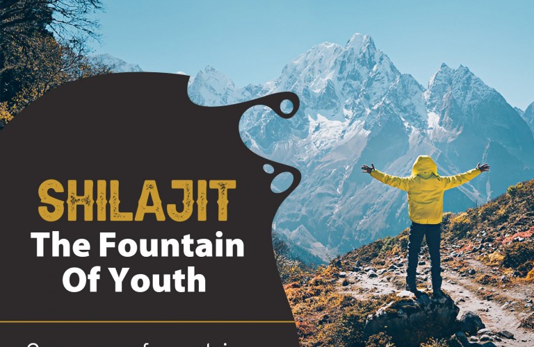 Shilajit Supplement