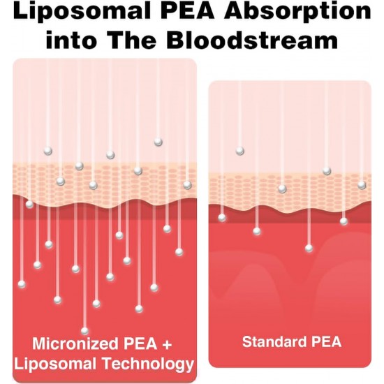 Rosmolo Liposomal Palmitoylethanolamide 1000 mg + Luteolin 100 mg, 60 Softgels