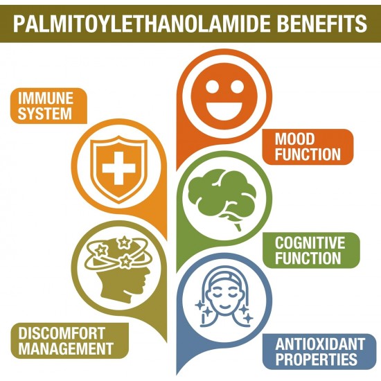 Rosmolo Palmitoylethanolamid mit Luteolin 98% & Kurkuma Ergänzung, 2000mg 60 Tabletten