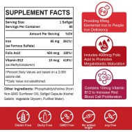 Sapotax Liposomal Fe 65mg Iron Supplement with Folic Acid & Vitamin B12 (60 Softgels)