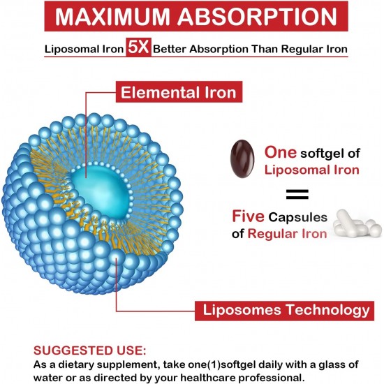 Sapotax Liposomal Fe 65mg Supplément de Fer avec Acide Folique et Vitamine B12 (60 Softgels)