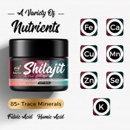Solavica 600mg Himalaya Shilajit Harz mit Fulvinsäure & 85+ Mineralien 30g