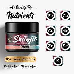 Solavica 600mg Resina de Shilajit del Himalaya con Ácido Fúlvico y 85+ Minerales 30g Solavica 600mg Resina de Shilajit del Himalaya con Ácido Fúlvico y 85+ Minerales 30g