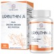 Sundhedsliv Urolithin A 1000mg + Brown Rice Protein 500mg – High-Absorption Mitochondrial Renewal & Muscle Support – 60 Capsules Sundhedsliv Urolithin A 1000mg + Brown Rice Protein 500mg – High-Absorption Mitochondrial Renewal & Muscle Support – 60 Capsules