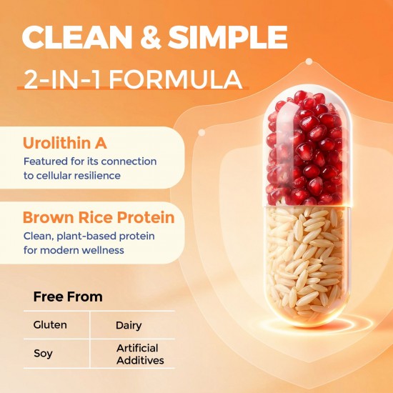 Sundhedsliv Urolithin A 1000mg + Brown Rice Protein 500mg – High-Absorption Mitochondrial Renewal & Muscle Support – 60 Capsules Sundhedsliv Urolithin A 1000mg + Brown Rice Protein 500mg – High-Absorption Mitochondrial Renewal & Muscle Support – 60 Capsules