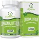 Ulmubra Liposomal Luteolin 500MG, 60 Capsule Morbide