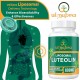 Ulmubra Suplemento liposomal de luteolina 800 MG, 60 cápsulas blandas