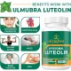 Ulmubra Liposomale Luteolin Ergänzung 800 MG, 60 Weichkapseln