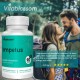 Vitablossom CoEnzyme Q10 PQQ with Pure Reduced Glutathione 520mg 60 Capsules Vitablossom CoEnzyme Q10 PQQ with Pure Reduced Glutathione 520mg 60 Capsules