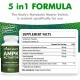 Vitablossom Premium Grade Jiaogulan Gynostemma+ Berberine, AMPK Activator Supplement 60 capsules Vitablossom Premium Grade Jiaogulan Gynostemma+ Berberine, AMPK Activator Supplement 60 capsules