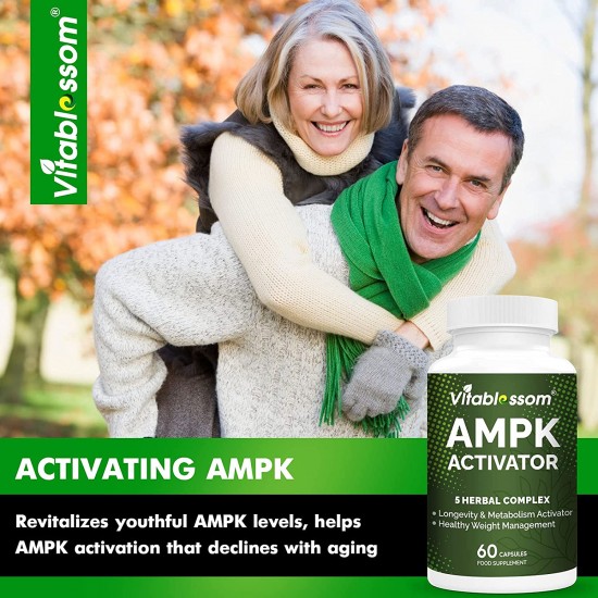 Vitablossom Prima Qualità Jiaogulan Gynostemma+ Berberina, AMPK Attivatore Integratore 60 Capsule