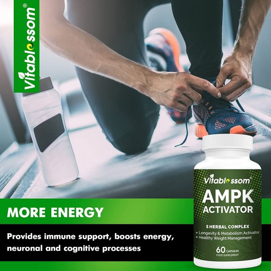Vitablossom Premium Grade Jiaogulan Gynostemma+ Berberine, AMPK Activator Supplement 60 capsules Vitablossom Premium Grade Jiaogulan Gynostemma+ Berberine, AMPK Activator Supplement 60 capsules