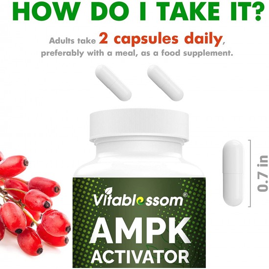 Vitablossom Prima Qualità Jiaogulan Gynostemma+ Berberina, AMPK Attivatore Integratore 60 Capsule