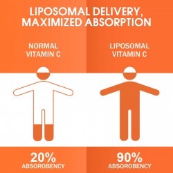 Vitablossom Superior Absorption Liposomal Vitamin C Softgels 2000mg Vitablossom Superior Absorption Liposomal Vitamin C Softgels 2000mg
