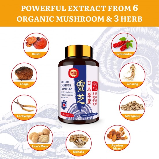 Yasumako Suplemento complejo de hongos Reishi japonés 1500 mg - Reishi, Chaga, Cordyceps, melena de león, maitake, extracto de hongos Agaricus y 3 hierbas, cápsulas de hongos orgánicos
