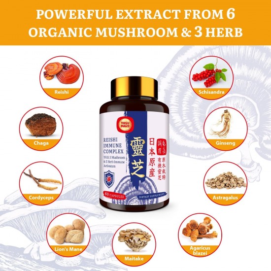 Yasumako Supplément complexe de champignons Reishi japonais 1500 mg - Reishi, Chaga, Cordyceps, Crinière de lion, Maitake, Extrait de champignons Agaricus et 3 herbes, Capsules de champignons biologiques